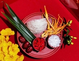 Cách nhận biết yến thật – yến giả – yến độn