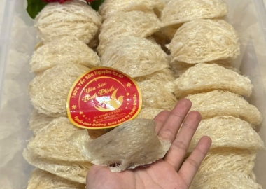 Yến Sào Có Nguồn Gốc Từ Đâu? Yến Đảo Và Yến Nuôi Khác Nhau Gì?