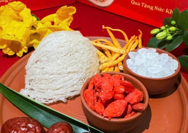 Phân loại yến sào: yến thô, yến tinh chế, yến rút lông